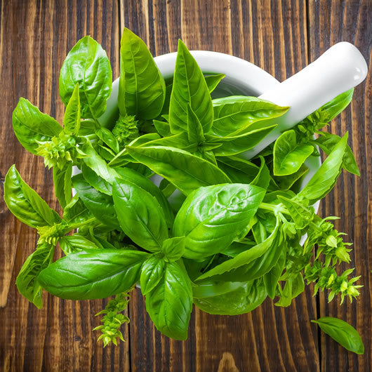 Basil infused olive oil in Cannon Beach, Oregon