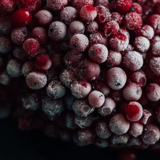 Lambrusco Red Wine Vinegar