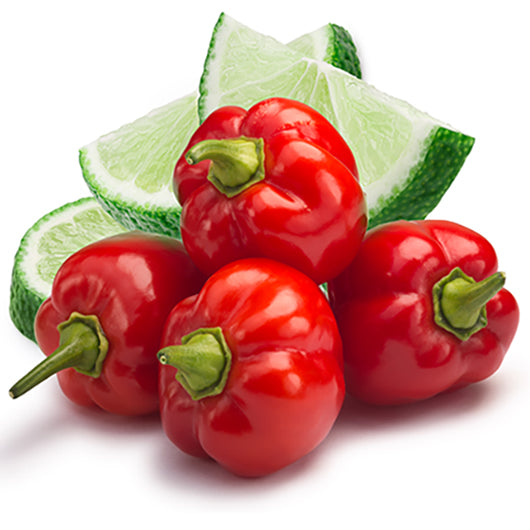 Citrus Habanero Infused Olive Oil spicy pepper olive oil in Cannon Beach Oregon