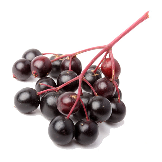 Elderberry Balsamic Vinegar Seasonal