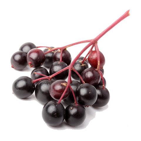 Elderberry Balsamic Vinegar Seasonal