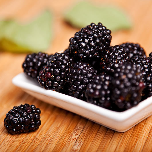 blackberry infused balsamic vinegar in Cannon Beach, Oregon
