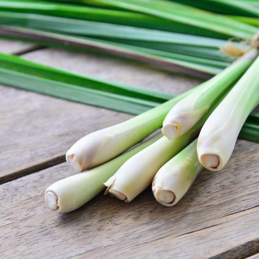 Basil Lemongrass Fused Olive Oil