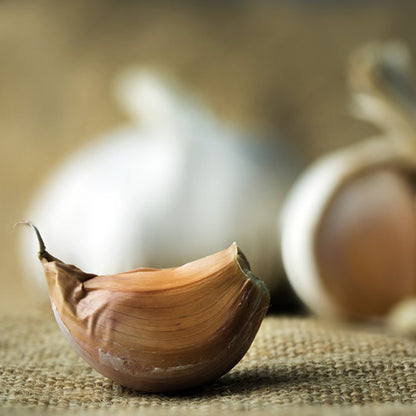 Products Garlic Infused Olive Oil in Cannon Beach, Oregon