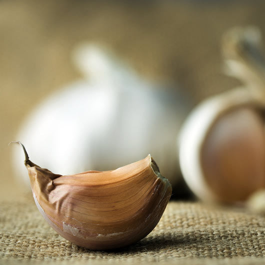 Products Garlic Infused Olive Oil in Cannon Beach, Oregon