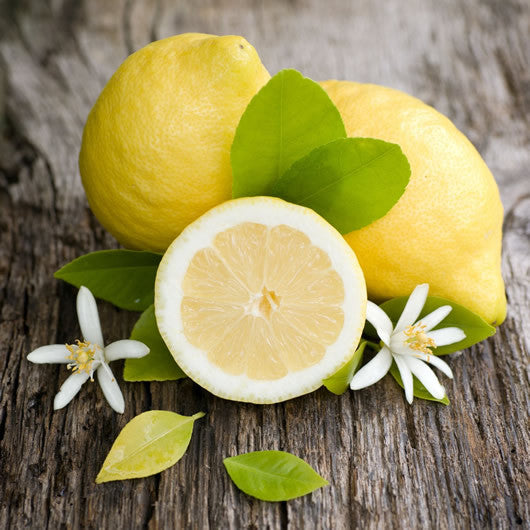 Lemon White Balsamic Vinegar Cannon Beach, Oregon
