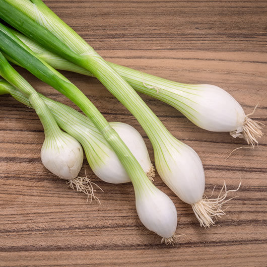 Scallion Infused Olive Oil